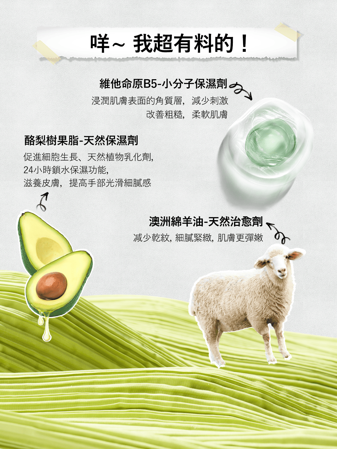 【Ausbelle】綿羊油護手霜禮盒組 (玫瑰、甜橙、馬鞭草)｜雙12嘉年華⚡專櫃 美妝 香氛 保養 禮享保養 香約聖誕 5