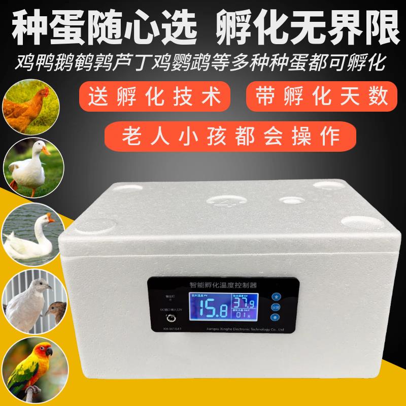 【保固兩年】智慧水床孵化器孵蛋器家用小型鴨鵝小雞全自動恆溫孵化箱孵化機