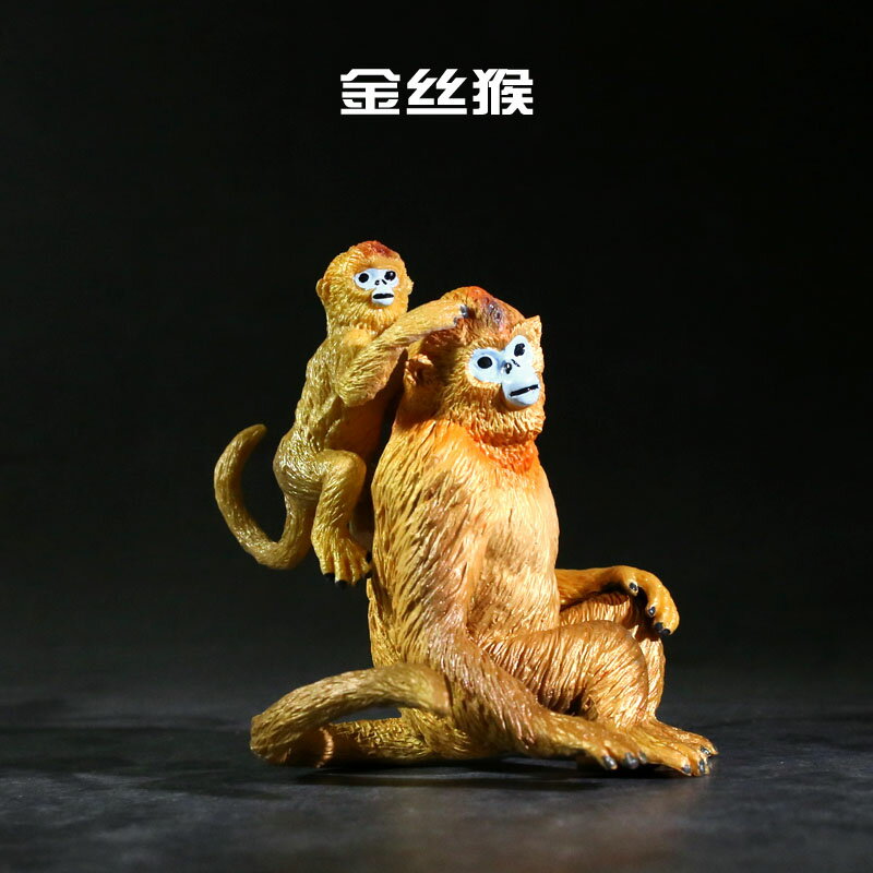 模擬金絲猴 小猴子模型 實心兒童塑膠動物玩具禮物