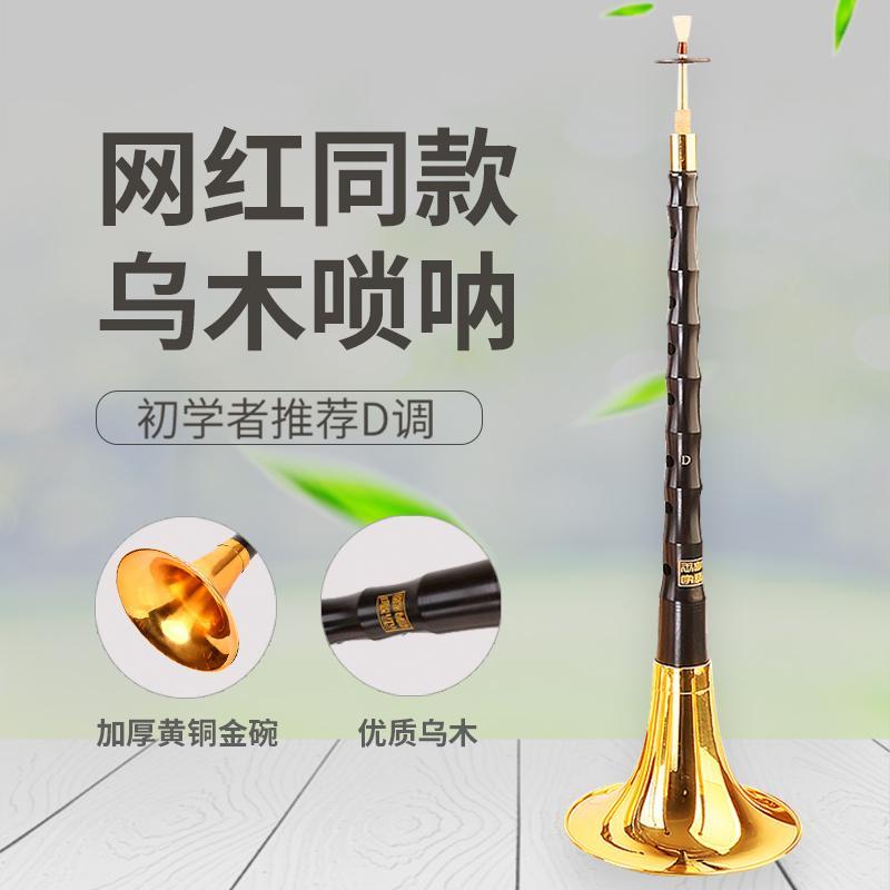 樂器嗩吶 聖音閣嗩吶樂器 全套初學者民族專業樂器 喇叭d調專業嗩吶考級演奏 全館免運