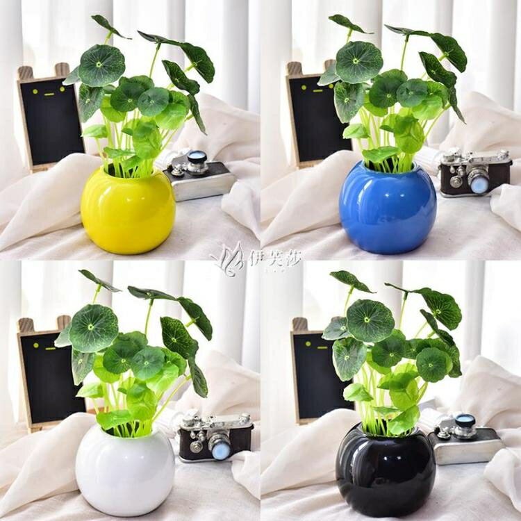 模擬綠色銅錢草金錢葉植物假花裝飾盆栽盆景家居客廳餐廳裝飾 【快速出貨】