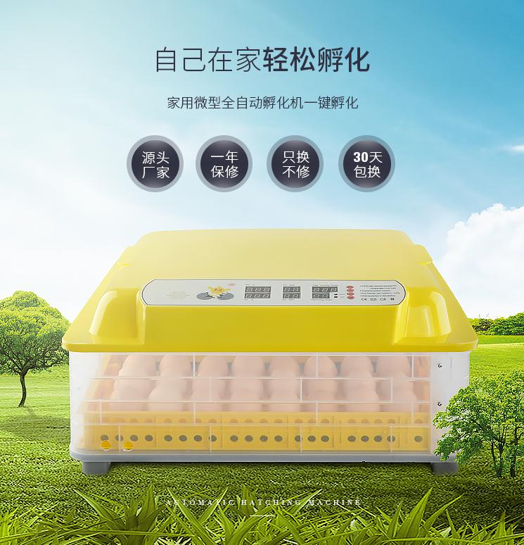 全自動雞鴨鵝鴿子孔雀蛋微小型48枚鬥雞孵化器孵蛋器暖浮蛋機家用110V 森馬先生旗艦店