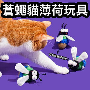 『台灣x現貨秒出』zeze蒼蠅造型貓薄荷玩具 貓咪玩具 貓玩具 貓貓玩具 寵物玩具 貓薄荷玩具