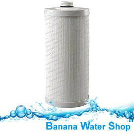 【Banana Water Shop免運費】台灣EVERPOLL 傳家寶全戶濾淨FH-150 專用濾芯 FH-015