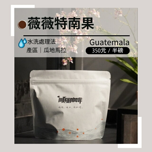 【順風咖啡】 咖啡豆｜單品咖啡豆｜瓜地馬拉 薇薇特南果 (精品咖啡/中深焙/新鮮烘焙/227g)