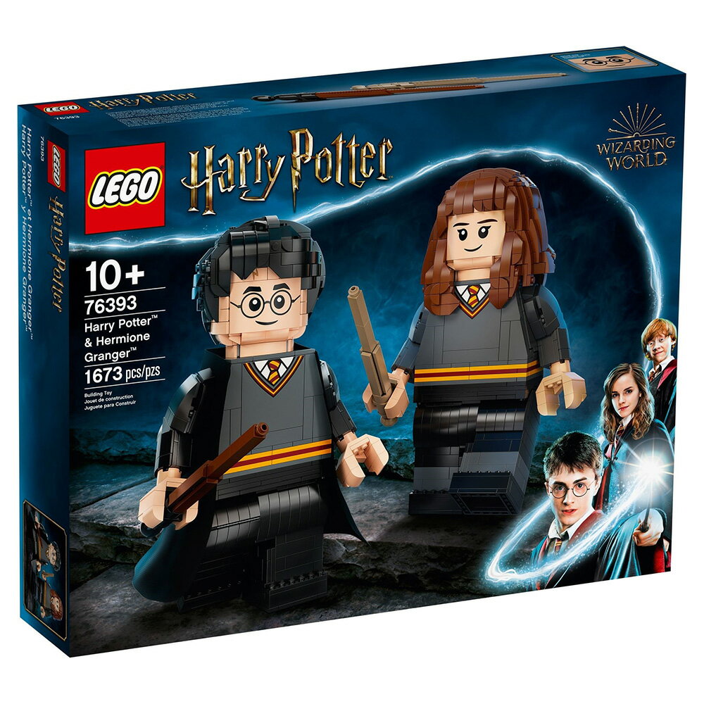 樂高LEGO 76393  Harry Potter 哈利波特系列 Harry Potter™ & Hermione Granger™