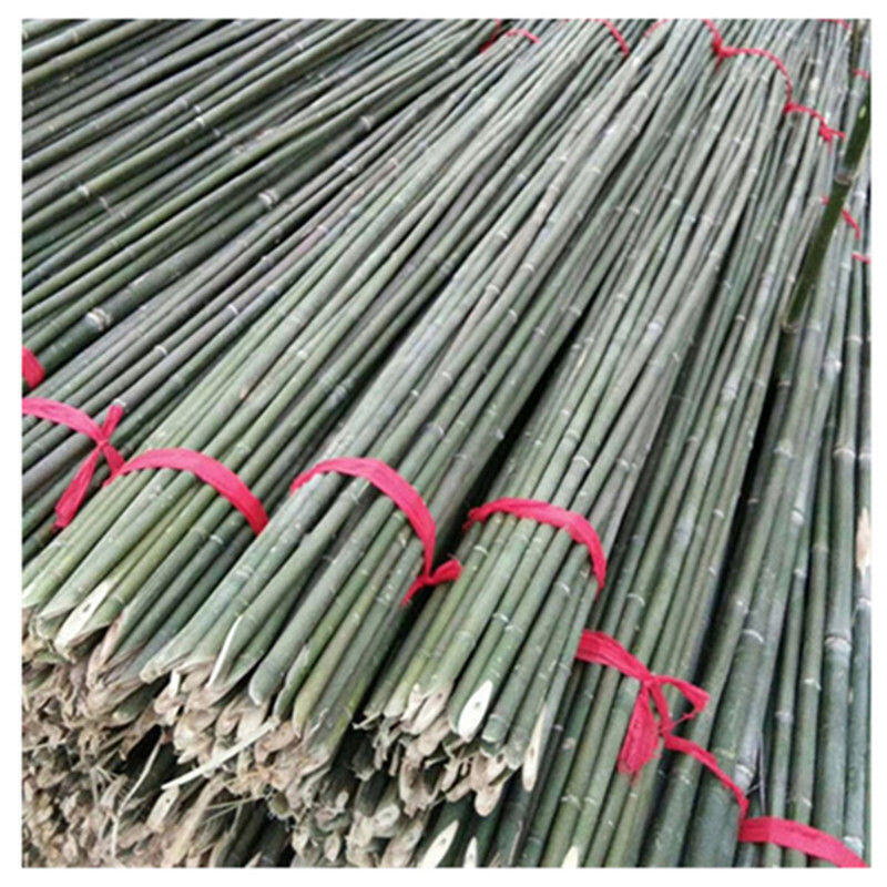 【滿500出貨】菜園竹竿種菜黃瓜爬藤支架彩旗桿小竹子棍豆角架菜園搭架柵欄裝飾【甄選優品】 7