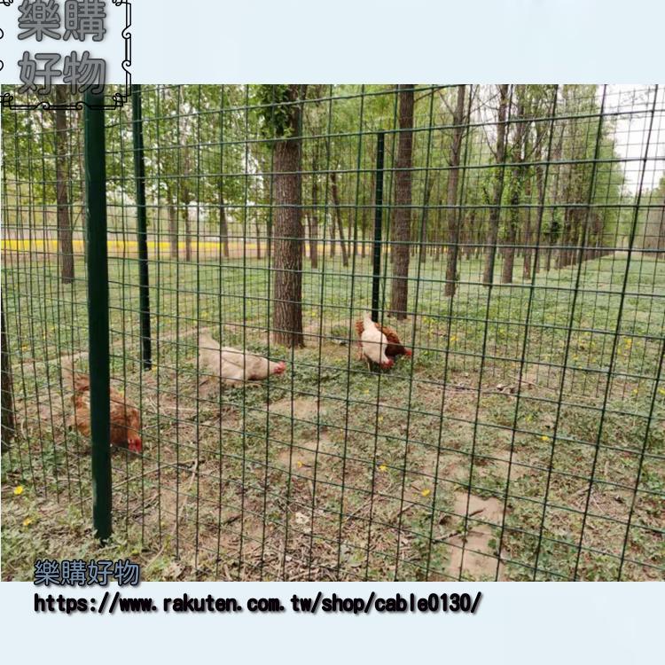 荷蘭網鐵絲網圍欄養殖網養雞網 柵欄 護欄防護 網鋼絲 網隔離鐵網戶外