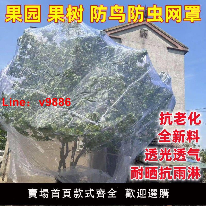【臺灣公司破盤價】防蟲網楊梅樹網罩大棚蓮霧藍莓網桃樹防鳥網罩羅幔蚊帳防鳥罩全罩
