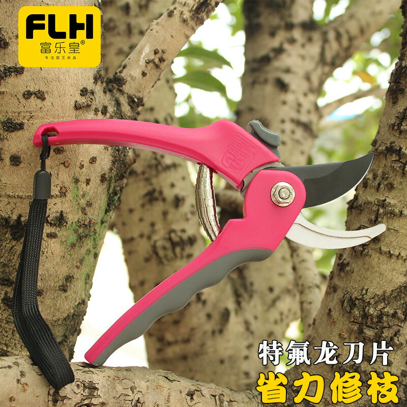 果樹剪刀摘果剪修枝剪省力強力家用專業花木園藝園林多功能剪枝剪