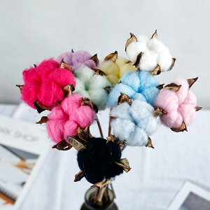 彩色棉花花束干花保鮮花單枝小清新迷你客廳天然風干插花材料1入
