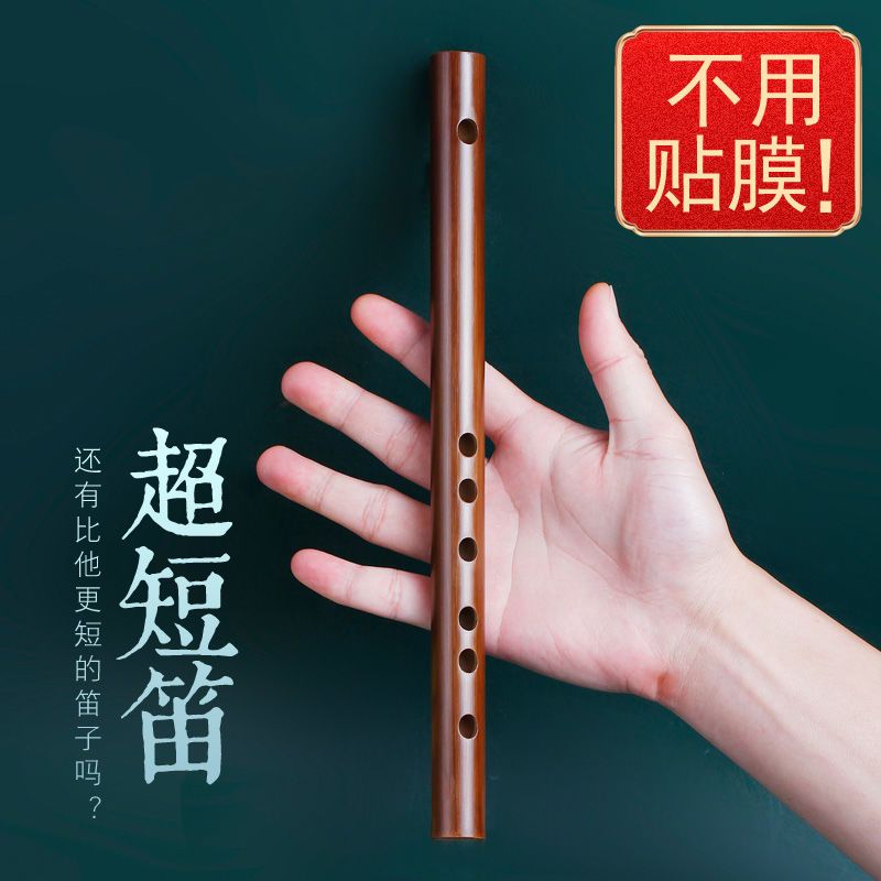 迷你短笛無膜孔初學橫笛入門竹笛小笛子隨身易學口袋樂器古風