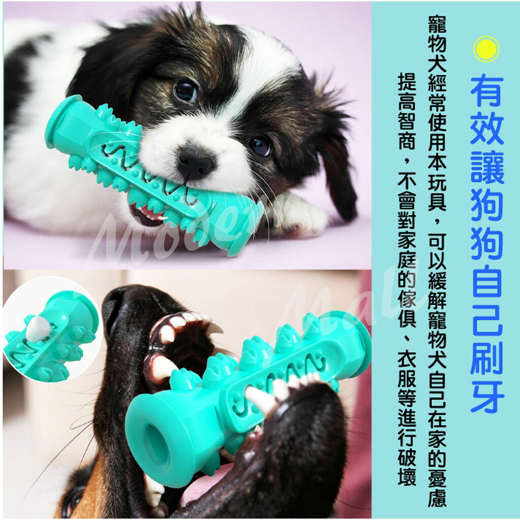 狗磨牙玩具【非常耐咬💎免運現貨】 耐咬玩具 狗耐咬玩具 狗玩具 寵物玩具 漏食 潔牙 牙刷 牙結石 3