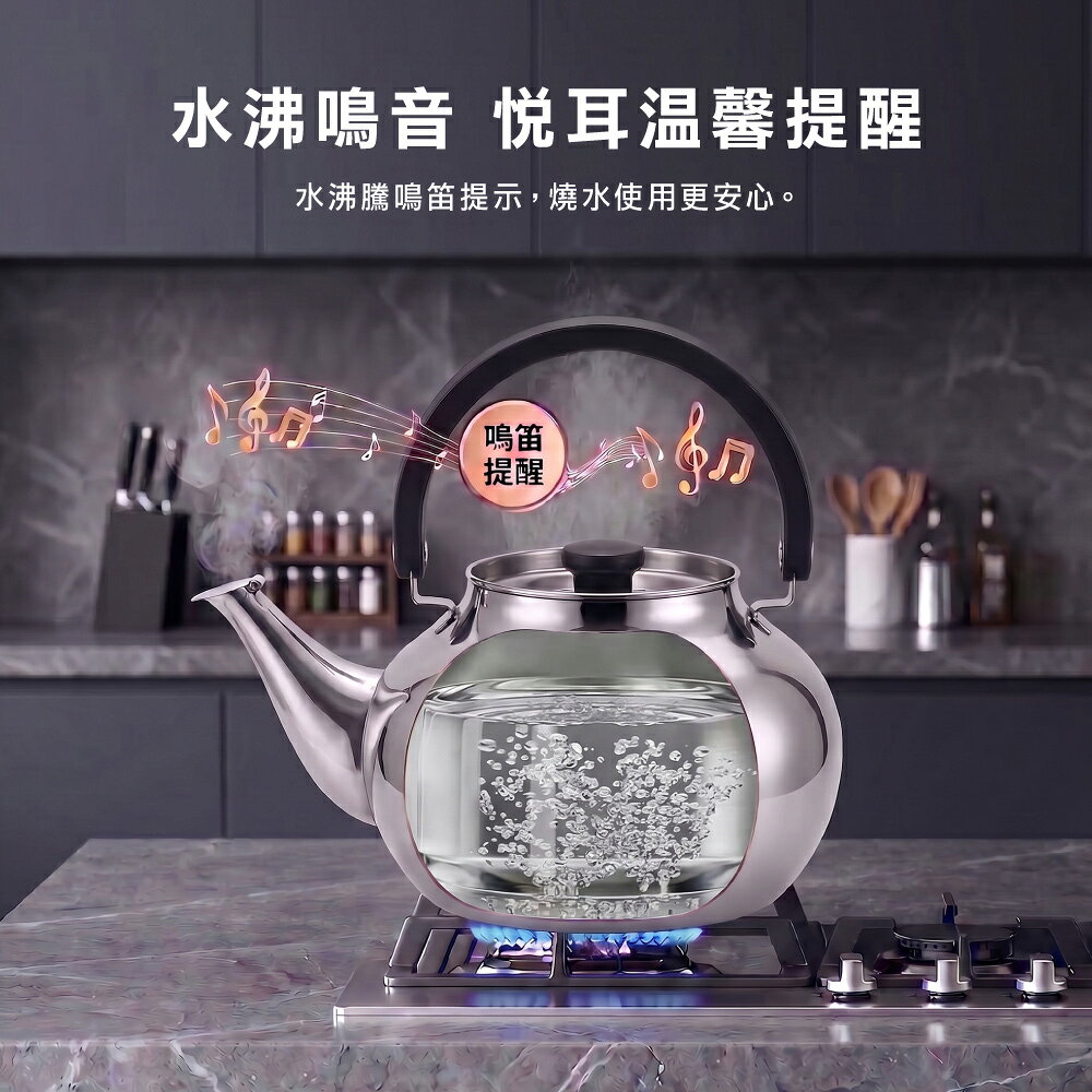 【美國MotherGoose 鵝媽媽】醫療級316 凱瑞不鏽鋼茶壺4.8L 4