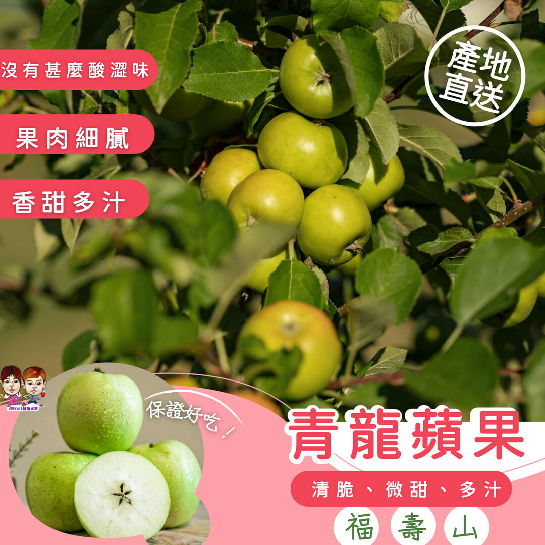 臺灣福壽山蜜蘋果- 青龍蘋果 (大果)4斤裝 不必山上產地直送宅配到家在地小農的好水果【緁迪水果JDFruit】