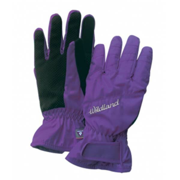 《台南悠活運動家》WILDLAND W2003-53 女PR棉防水防風觸控手套 紫色