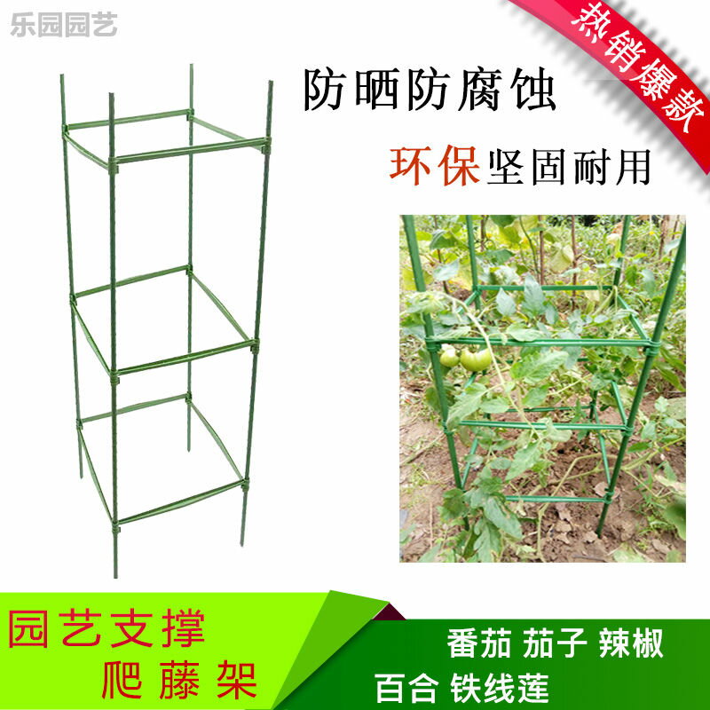 西紅柿番茄攀爬支架黃瓜架爬藤植物支架茄子架豆角種菜架支柱園藝園藝用品