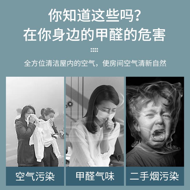 5-60G臭氧消毒機發生器新房裝修家用除甲醛空氣凈化器殺菌