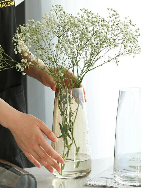 樂天優選-北歐玻璃清新花瓶擺件現代簡約客廳透明多色水養鮮花插花長款桌面-青木鋪子