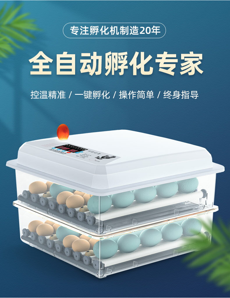 孵蛋器孵化箱小型家用型雞蛋鸚鵡迷你全自動智能小雞蘆丁雞孵化器110V