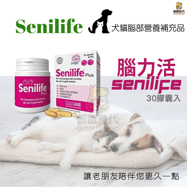 Senilife Plus 腦力活 老犬腦部營養補充劑 失智 老年癡呆 犬貓腦部營養品 同腦活素