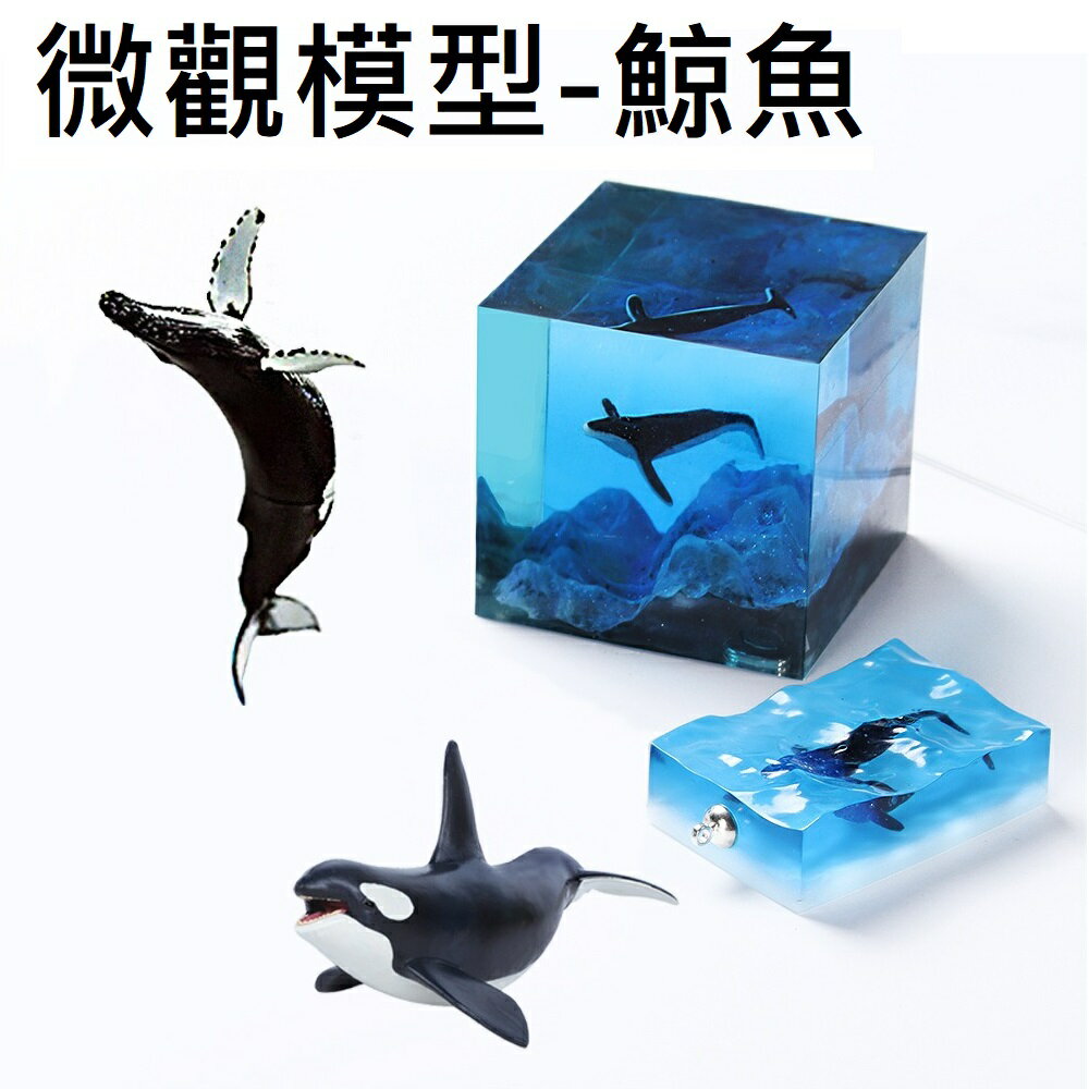 【微觀模型-鯨魚】3D立體 鯨魚 座頭鯨 灰鯨 虎鯨 大翅鯨 模型 滴膠素材 水晶膠填充物