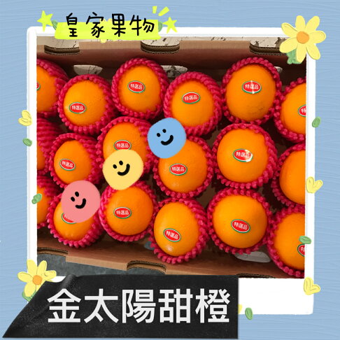 金太陽無籽甜橙中顆整箱買50入/分裝試嚐箱12入/家庭箱25入/精緻禮盒附提袋12入【皇家果物】免運 3