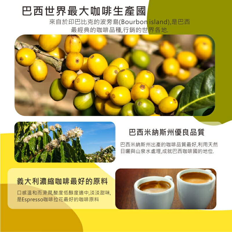 巴西國寶極品濾掛咖啡  Brasil Bourbon Santos | DALLYN世界嚴選莊園 ★滿299元超取免運 , 滿1500元店家宅配免運★ 6