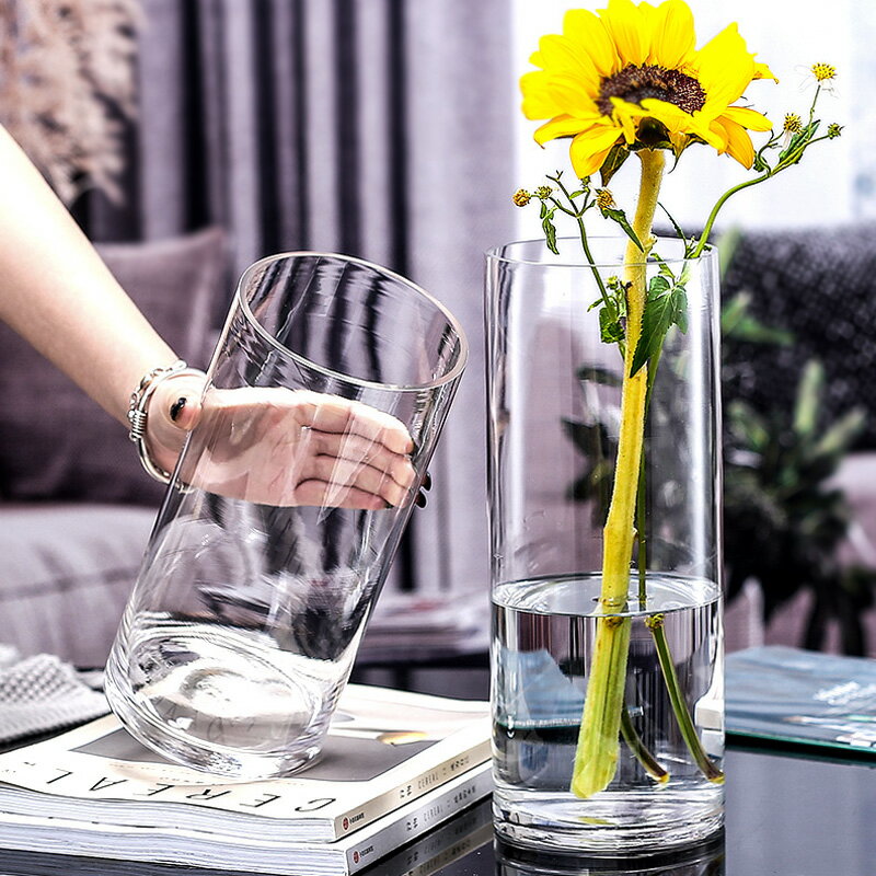 花瓶玻璃透明ins風高級感直筒擺件客廳高檔插花水養富貴竹百合花