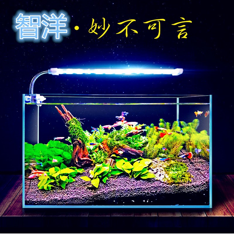 魚缸水草LED燈 水族箱照明 水族迷你夾燈 雙排LED藍白光