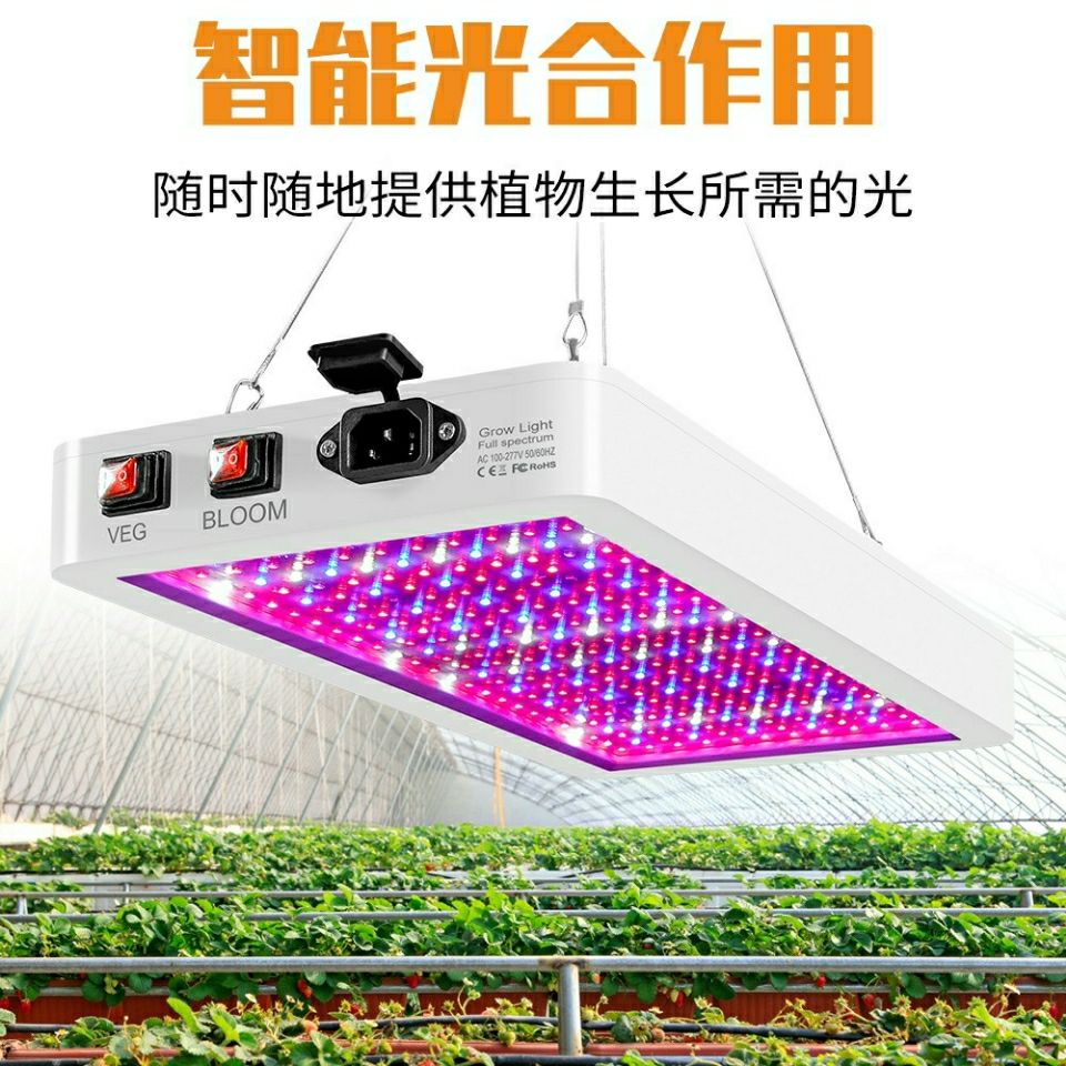 免運 植物生長燈 補光燈 大棚種植全光譜植物燈防水量子板室內種植多肉綠植水果蔬菜補光燈 快速出貨