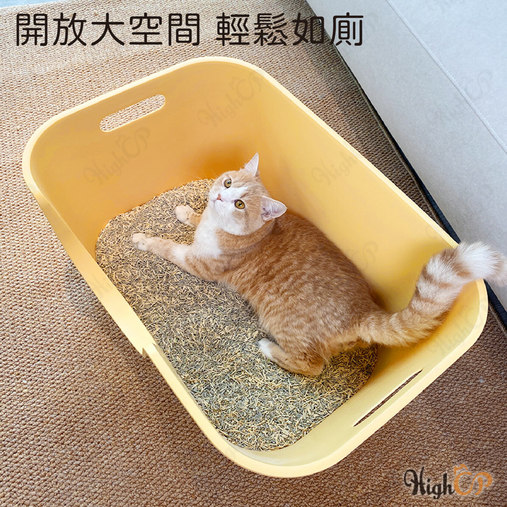 大布丁貓砂盆 開放式貓砂盆 超大貓砂盆 貓砂盆 大尺寸貓砂盆 大空間貓砂盆 加大加寬 肥貓可用【1110003】 5