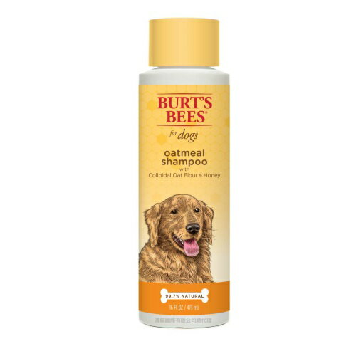 Burt's Bees小蜜蜂爺爺 蜂蜜燕麥沐浴露16oz/473ml 寵物美容 寵物清潔