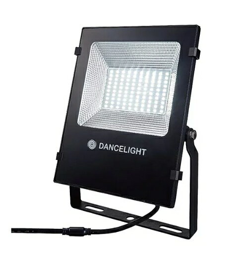 舞光 LED 50W 亞瑟投光燈 投射燈 廣告燈 內含防水驅動器 全電壓 白光 黃光 好商量~