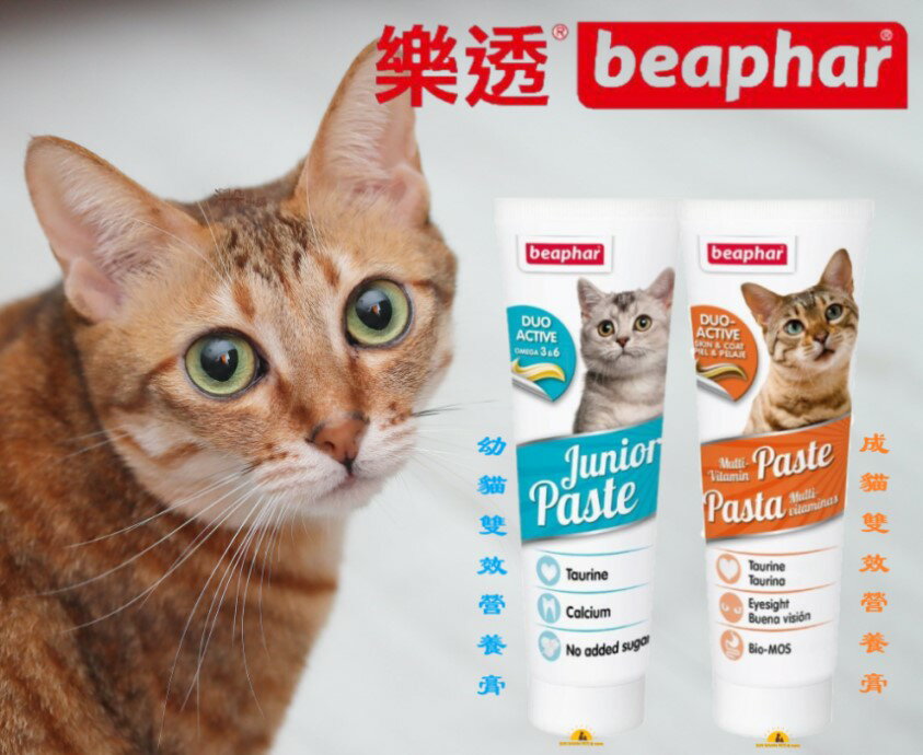 樂透 Beaphar 貓專用雙效營養膏 100g 添加牛磺酸 貓營養品 高鈣營養 視力保健