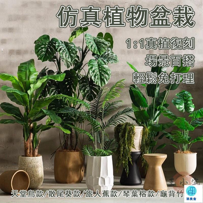 台灣公司 工廠直銷 可開發票 【宅配免運】擺飾假花 天堂鳥/散尾葵 落地盆栽 仿真植物盆栽 裝飾盆栽 仿真綠植 客廳裝飾 假綠植 仿真植物店長推薦 新品特價 5z86