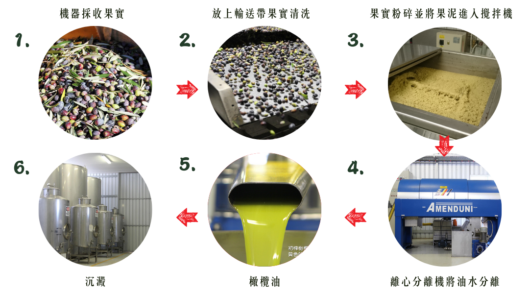 AUGANIC澳根尼 特級冷壓初榨橄欖油【500ml】【750ml】 6