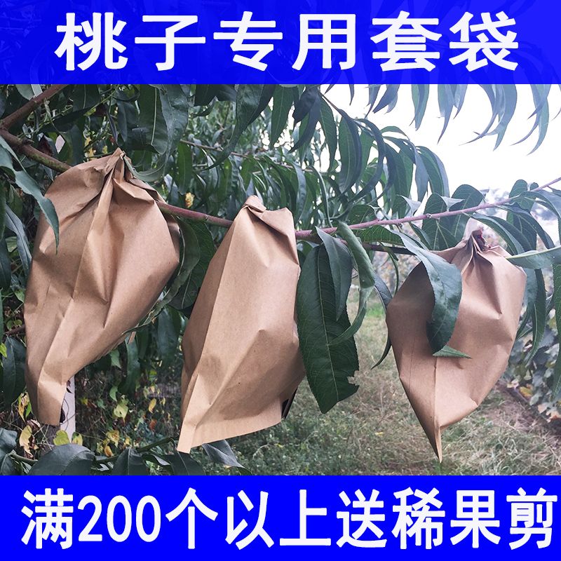 防鳥網 果樹網罩 桃子套袋專用袋黃桃袋桃子紙袋黃桃水蜜桃蟠桃紙袋防蟲防雨水桃袋