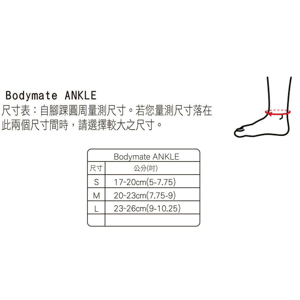 ZAMST Bodymate Ankle 腳踝護具 7