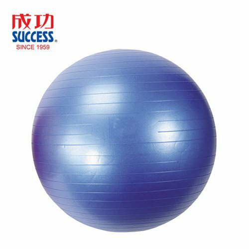 【【H.Y SPOR】成功 SUCCESS 安全防爆韻律球/抗力球/瑜珈球/大大球 65CM (耐重300kg) 紅標特價