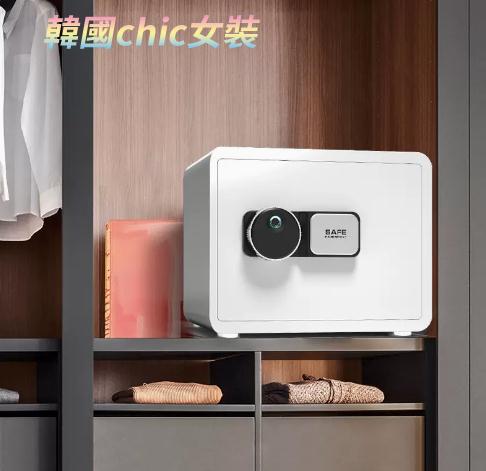 保險櫃勝獅保險櫃家用小型隱形小保險箱迷你指紋密碼箱辦公室檔案全鋼防盜保管箱