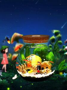 生態瓶微景觀水族箱造景斗魚缸辦公桌面客廳玻璃魚缸生態球微景觀（不送魚）