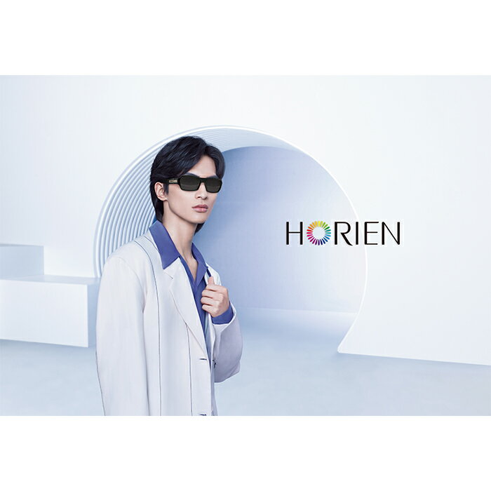 HORIEN海儷恩 飛行員偏光太陽眼鏡 抗UV400 (HN 1102 J99) 9