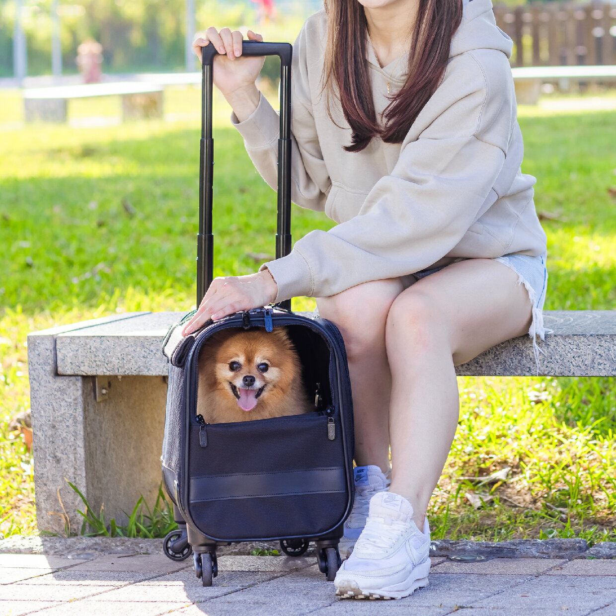 3WAY 七淘寵物旅行箱（載重10公斤/寵物拉桿包/外出包/推車/外出籠/貓狗犬）