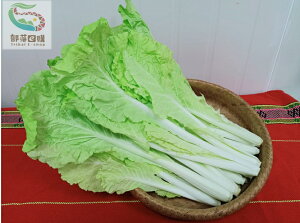 小白菜(250g)