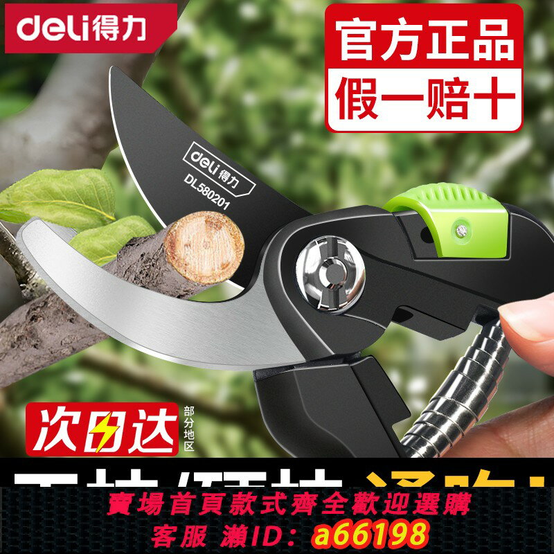 【臺灣公司 可開發票】得力剪枝剪刀園林花藝修剪樹枝剪刀果樹剪刀粗大花剪園藝剪子工具