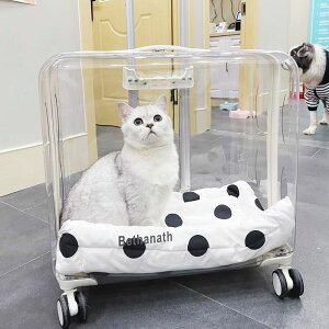寵物外出便攜狗狗超大行李箱貓包拉桿箱太空艙貓咪推車大容量兩只