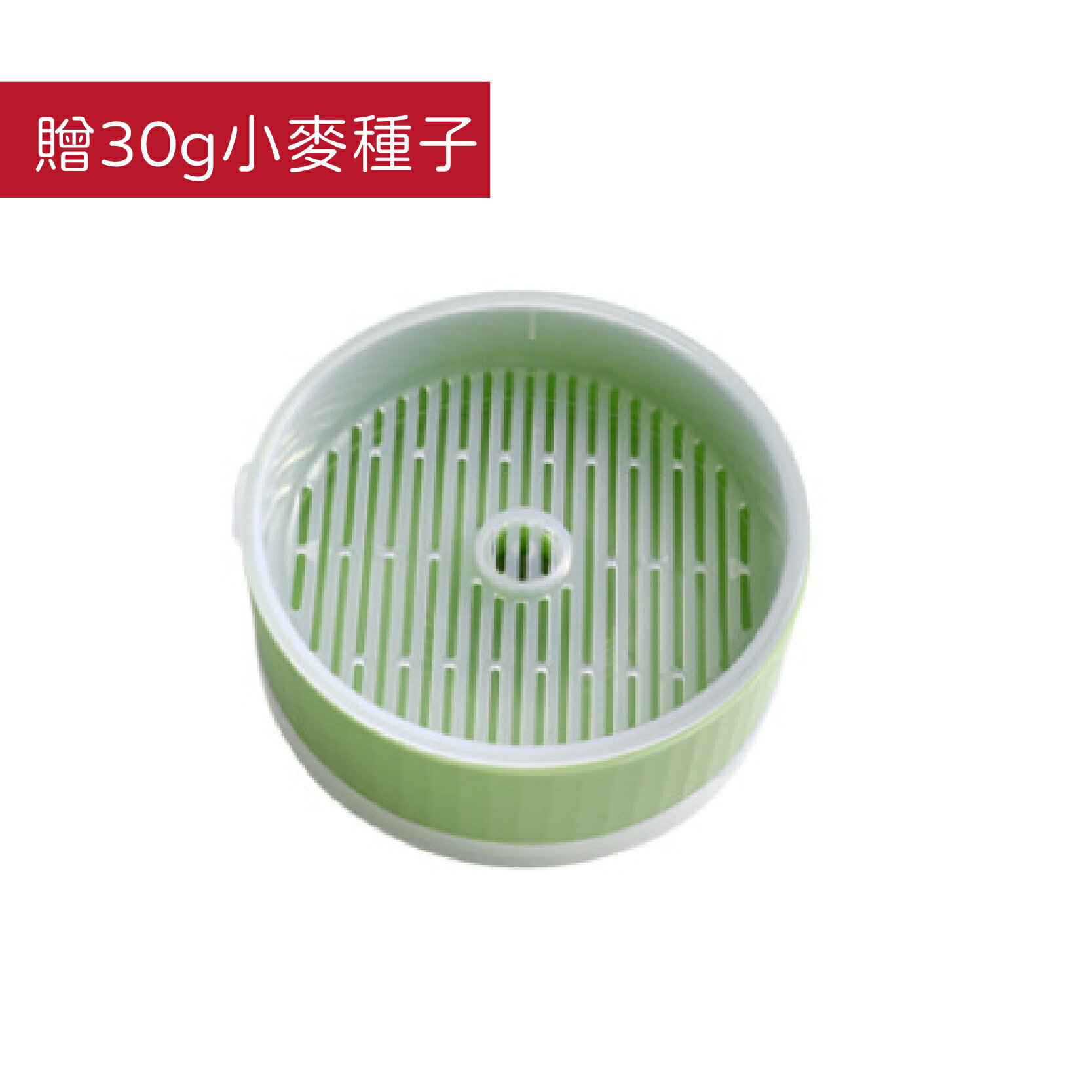 撞色貓草水培盒 貓草Diy 水培貓草盒 無土貓草盒 水培器 種貓草盆 貓草 貓草種植 小麥草【230510】 0