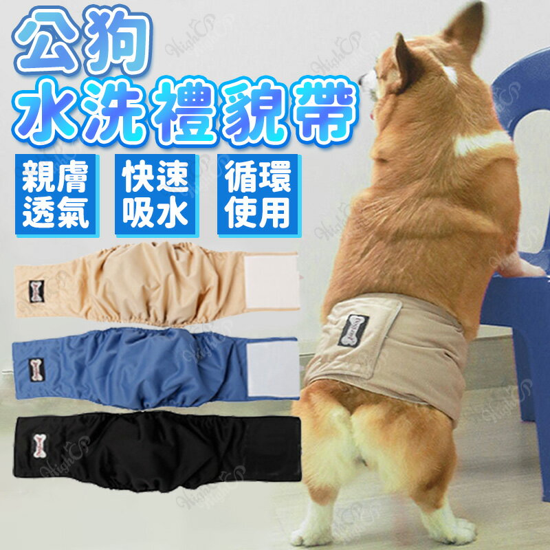 公狗禮貌帶 公狗紙尿褲 可水洗 公狗 禮貌帶 可水洗寵物尿褲 寵物生理帶 寵物尿布 寵物禮貌帶【521004】