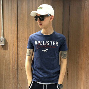 美國百分百【全新真品】Hollister Co. T恤 HCO 短袖 T-shirt 海鷗 logo 海軍藍 AQ76